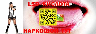 ГАЛЛЮЦИНОГЕННЫЕ ГРИБЫ Гудермес
