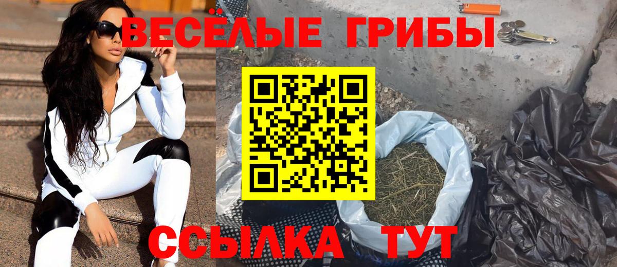 Галлюциногенные грибы прущие грибы  Вход с VPN  Мурино 